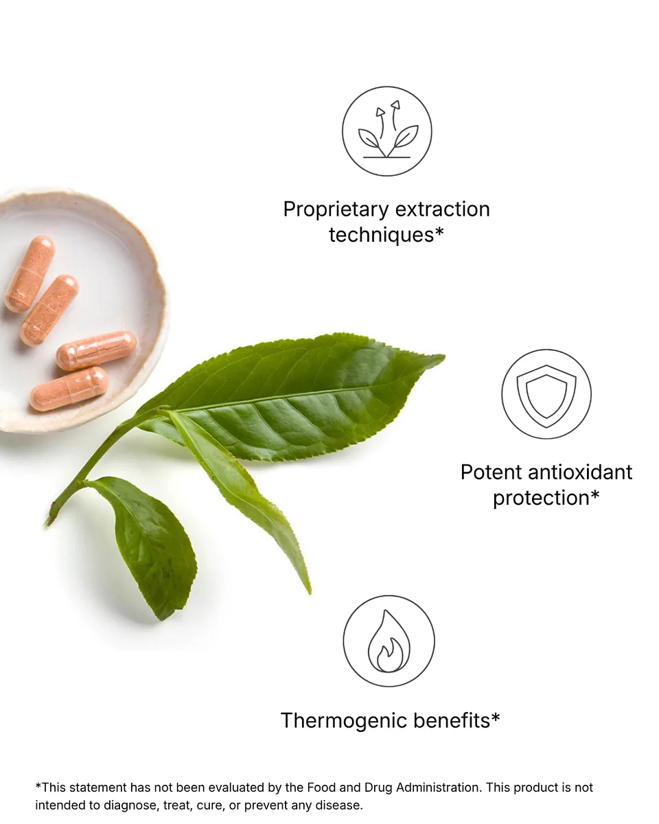 TeGreen 97 — photo 1 of 4