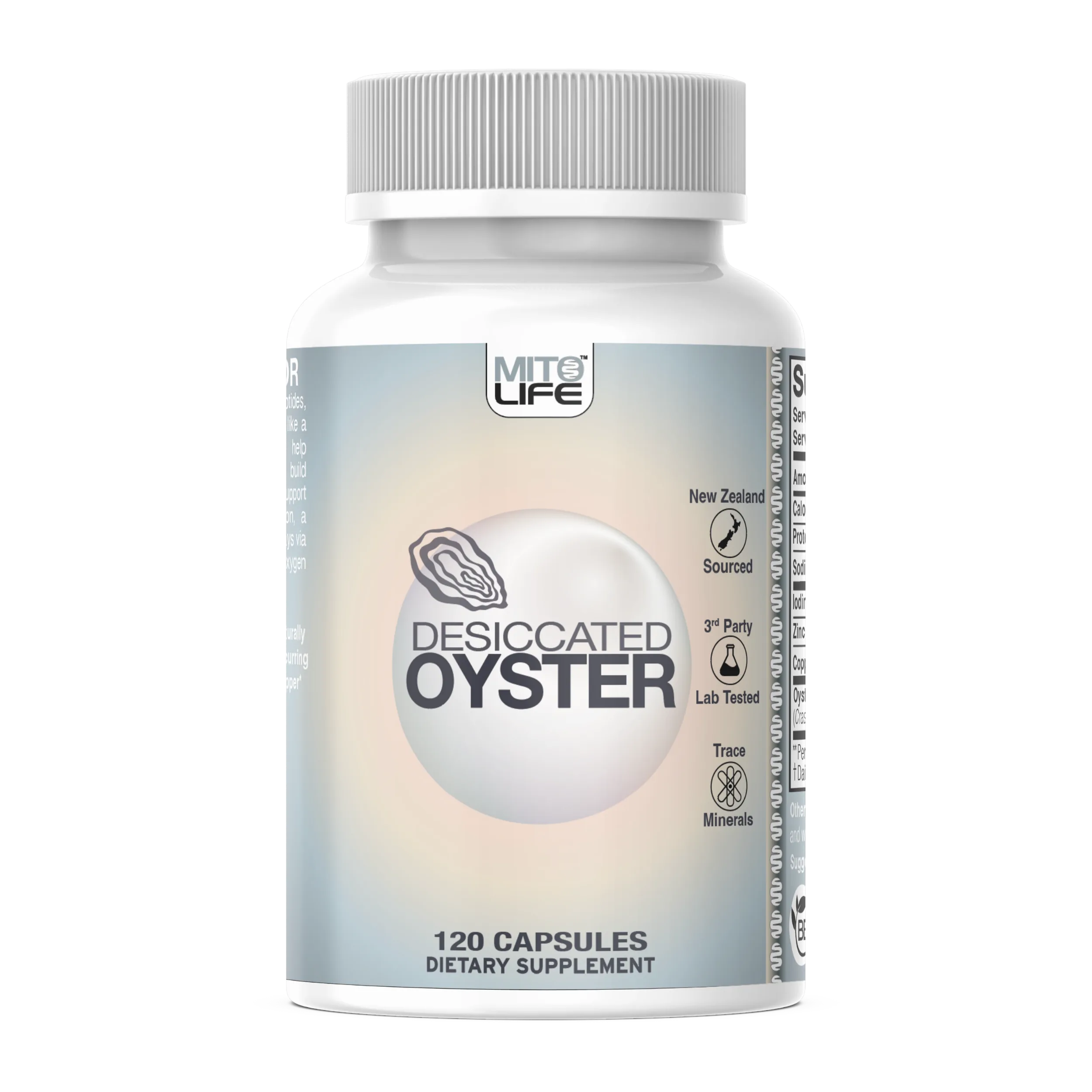 Desiccated Oyster — photo 1 of 4