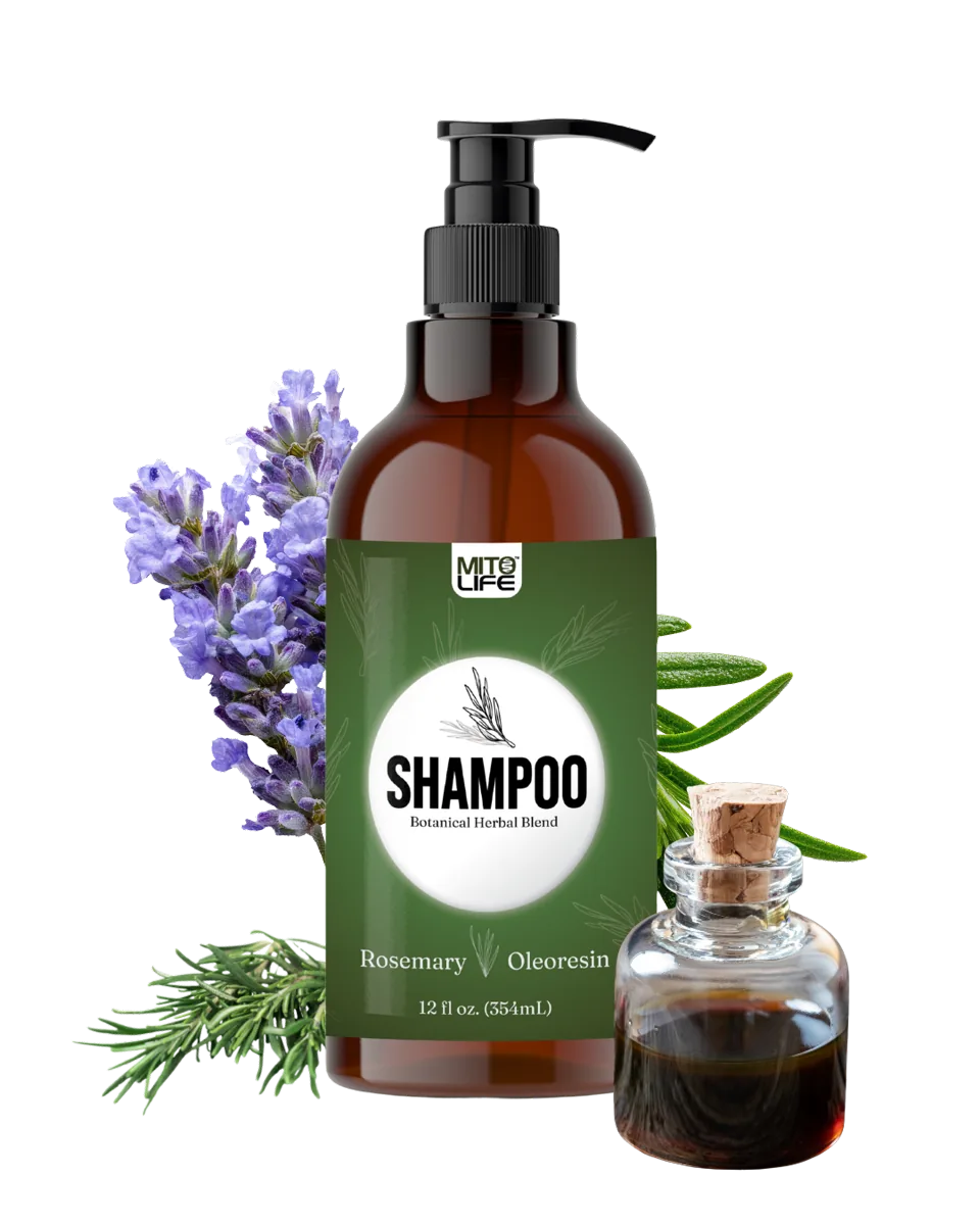 Haircare — photo 3 of 5