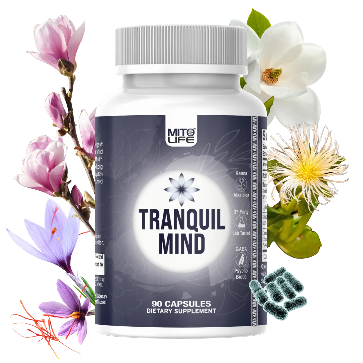 Tranquil Mind — photo 4 of 4