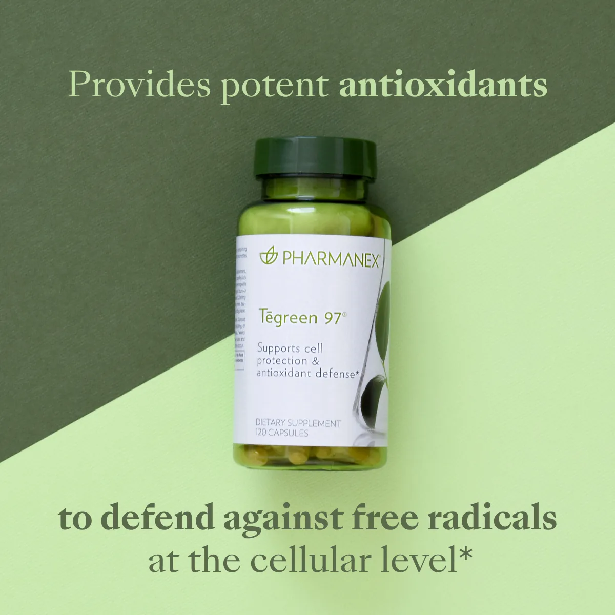 TeGreen 97 — photo 4 of 4