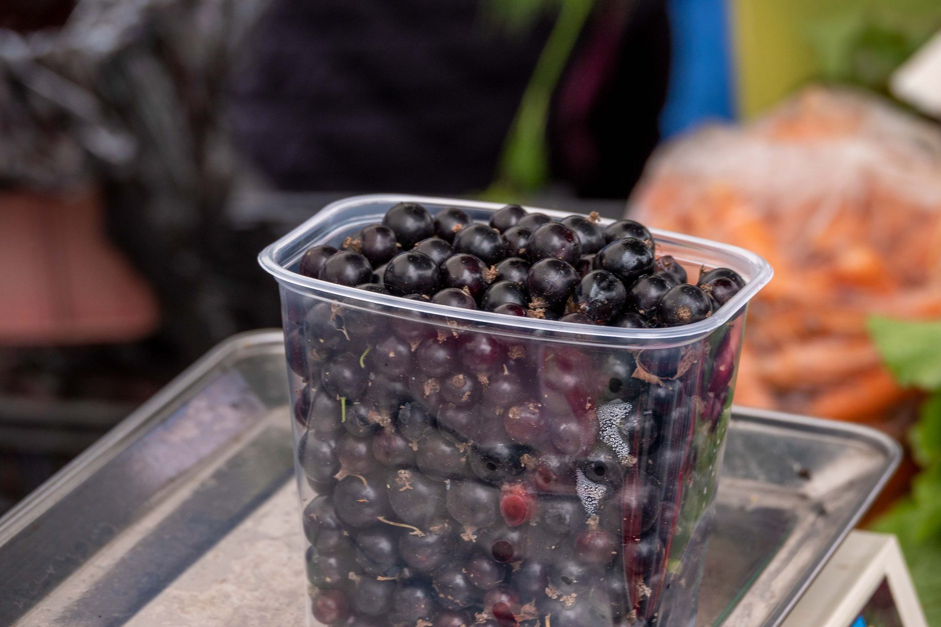 Black currant, black rice and bilberry -- the three purple anthocyanin sources