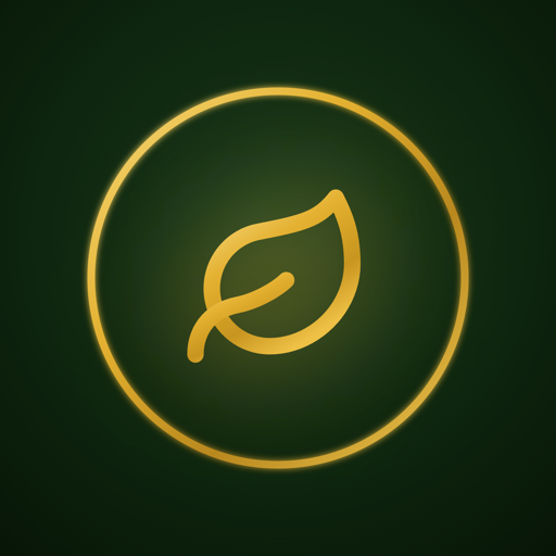 The Holistic Hub